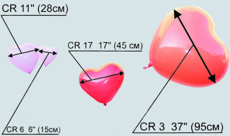 Сравнительные размеры сердец
